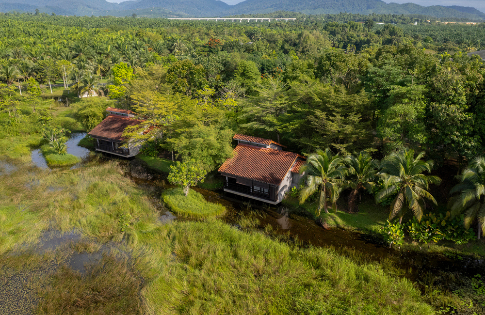 The Ultimate Guide to Rainforest Resorts and Forest Resorts in Malaysia